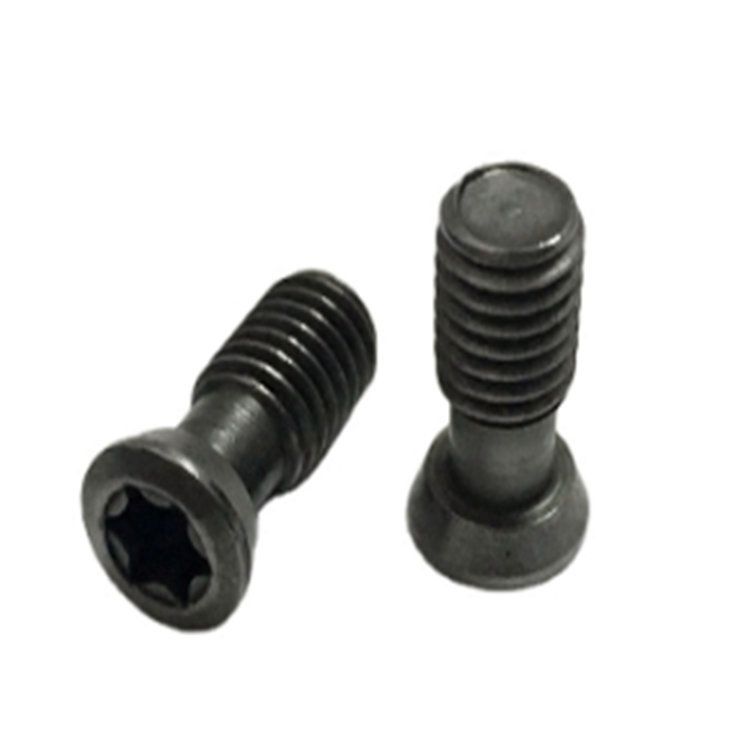 M2 M3 M4 Cuir Scriú Torx isteach le haghaidh Ionsáigh Carbide Deil CNC