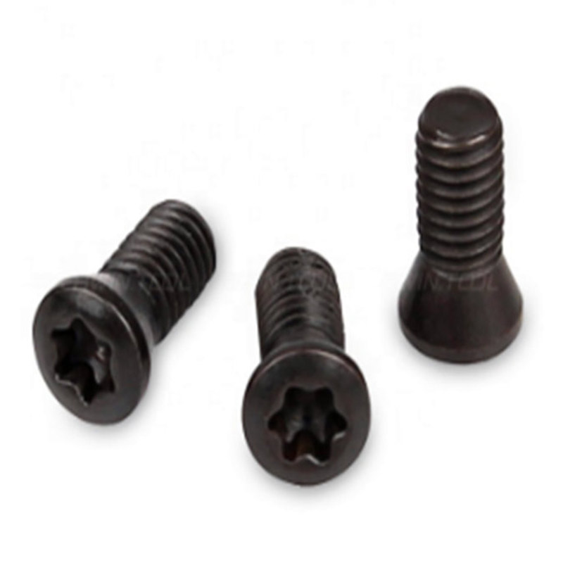 Scriú Torx M2 le haghaidh Ionad Carbide Ionsáigh Uirlis Deil CNC Scriú Torx M2 le haghaidh Ionad Carbide Ionsáigh Uirlis Deil CNC